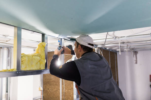 Best Insulation Maintenance and Repair in Santa Clara, CA